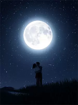 权谋交织：总裁的荆棘玫瑰