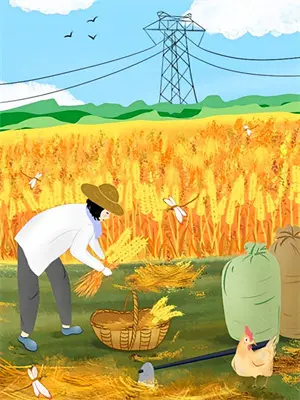 前夫跟我玩骗婚游戏，哭着跪下了